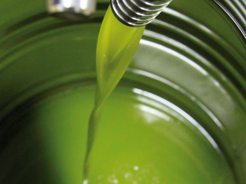L’olio extravergine di oliva può prevenire il cancro al colon