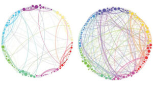 Petri et al./Proceedings of the Royal Society Interface