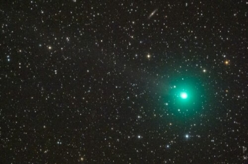 Una cometa di Natale per le festività: Lovejoy C/2014 Q2