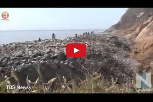 Mistero in Giappone; davanti all’isola di Hokkaido emerge una striscia di terreno lunga 300 metri