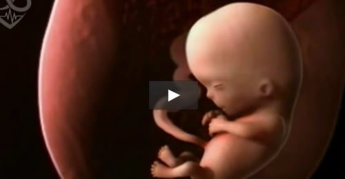 9 mesi di gravidanza riassunti in un video di 4 minuti: che meraviglia!
