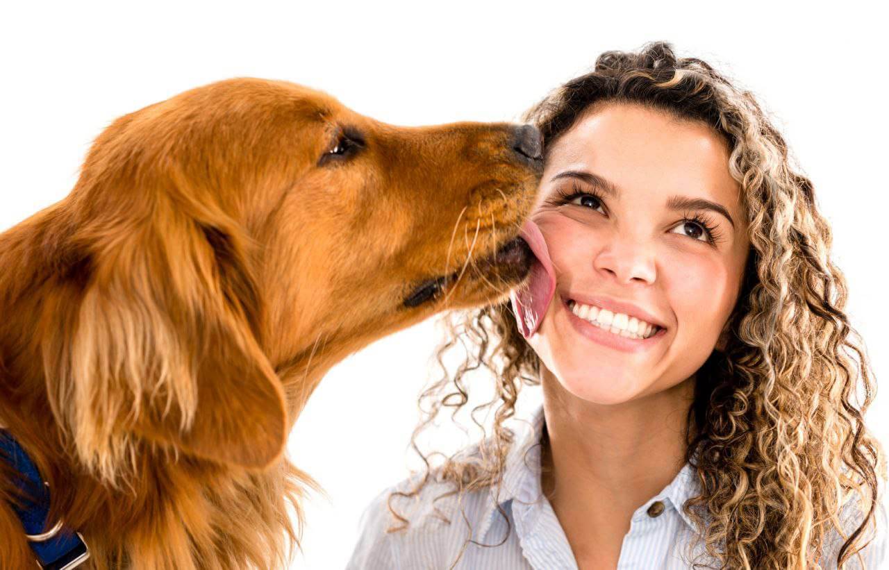 cane-lecca-viso-1.jpg