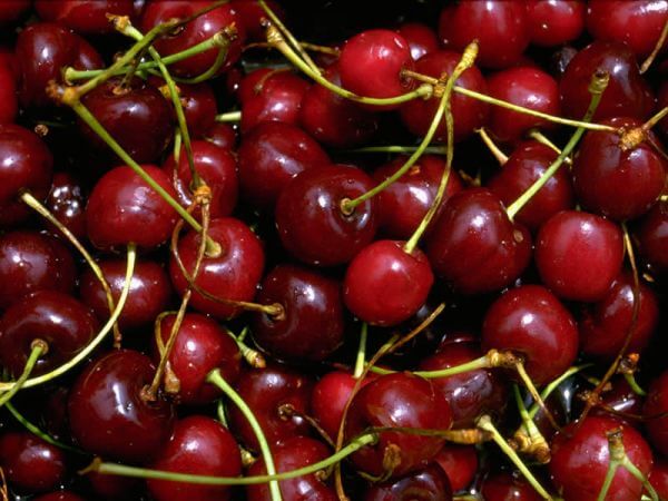 Le ciliegie aiutano a combattere l’insonnia