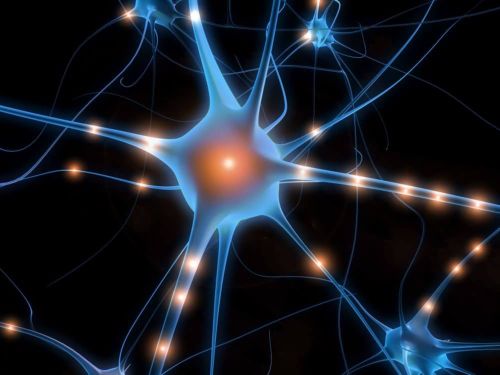 Creato il primo neurone artificiale, svolta nella cura delle malattie del cervello