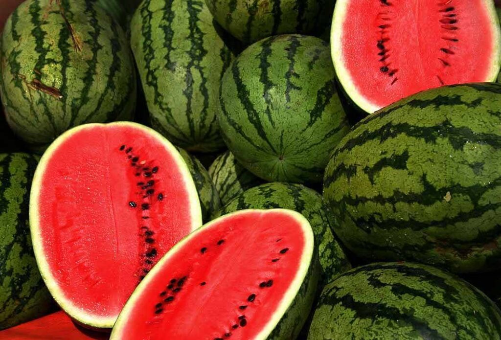 Mangiare anguria ogni giorno per 2 settimane: cosa succede davvero al tuo corpo secondo la scienza