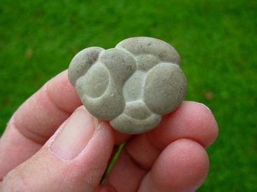 Particolare tipo di Fair Stones