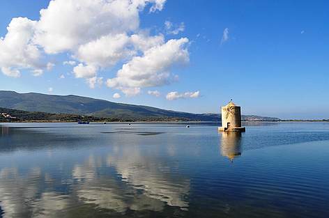 orbetello-moria-di-pesci-1.jpg