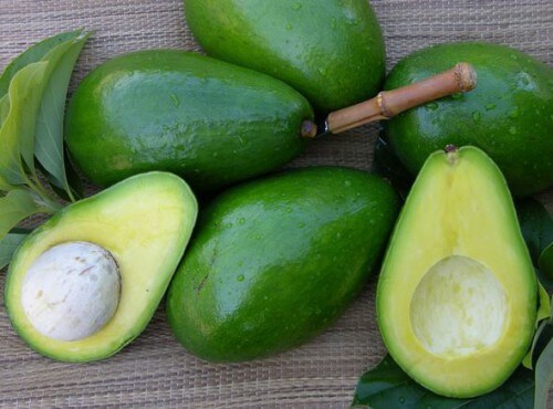 L’avocado, buon sapore e tante virtù benefiche