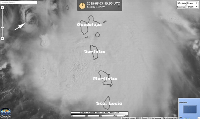 erika-1.jpg
