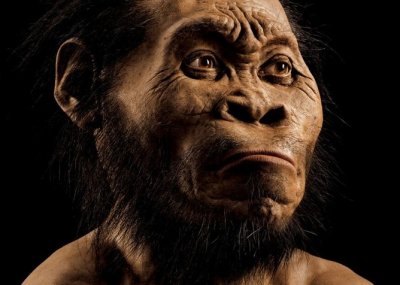 Nuova specie umana scoperta in Sudafrica, l’Homo Naledi