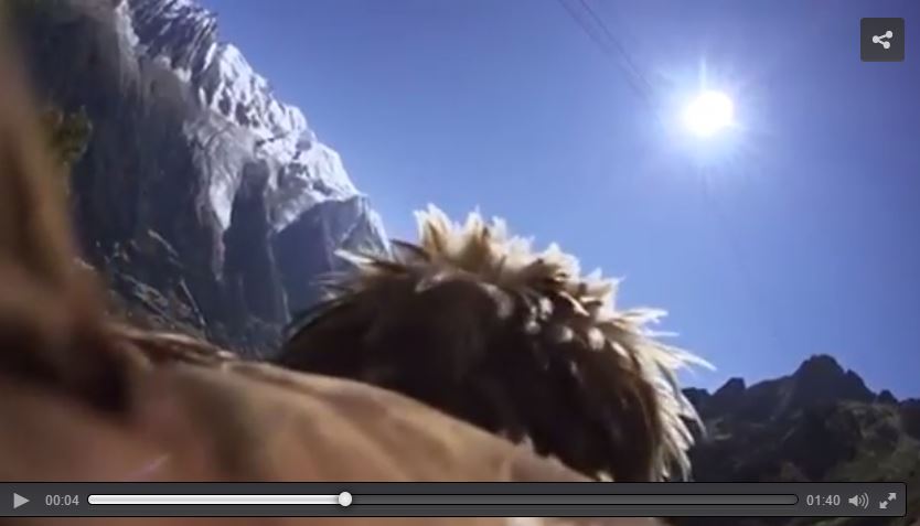 Montano una GoPro sull’acquila, immagini bellissime da Chamonix