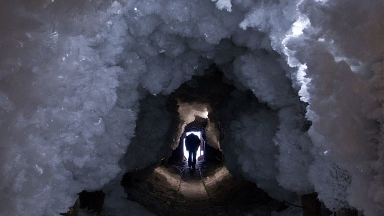 elisir-di-lunga-giovinezza-mammut-1.jpg
