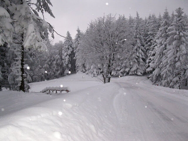 neve-sulle-alpi-1.jpg