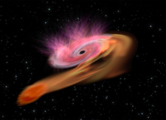 Studiata la distruzione mareale di una stella che entra in contatto con un buco nero