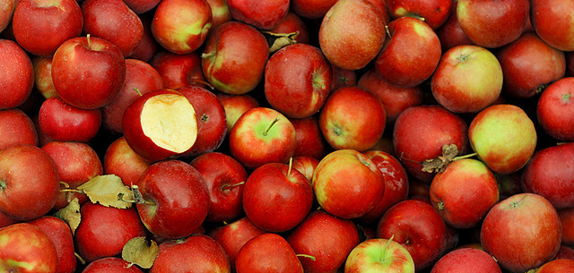 Greenpeace: Pesticidi nell’83% delle mele