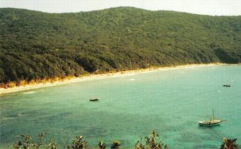 Bandite-di-Scarlino-1.jpg