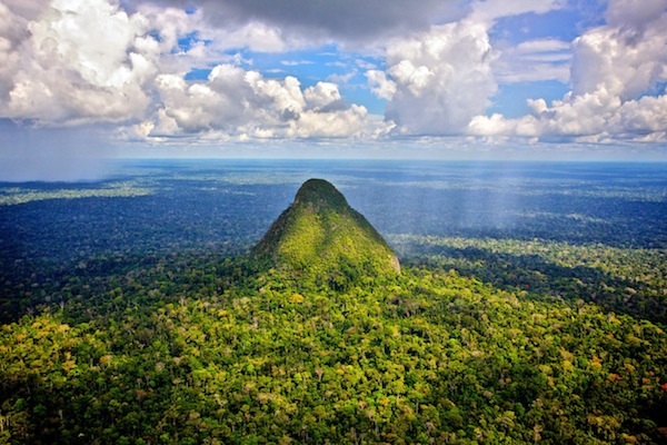 Amazzonia: nasce la Sierra del Divisor, uno dei parchi più grandi al mondo