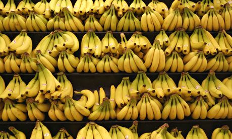 banane-peste-1.jpg