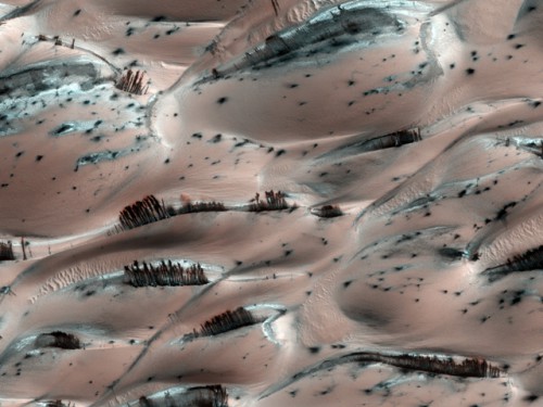 Marte: illusione ottica di foreste rigogliose, sono dune del deserto