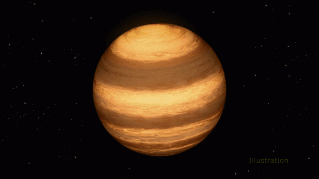 stella-1.jpg