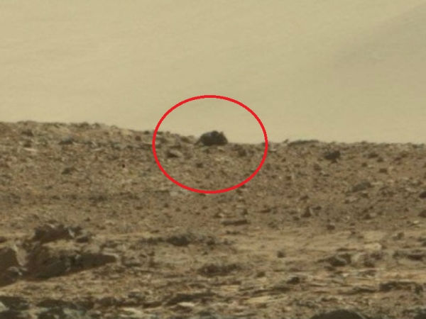 Marte, misterioso oggetto fotografato dalla NASA: sembra quasi un topo