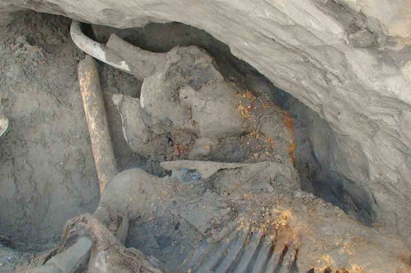 Archeologia, nuove ipotesi sulla vita umana durante l’Era Glaciale