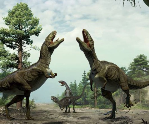 Dinosauri, la danza rituale per corteggiare le femmine