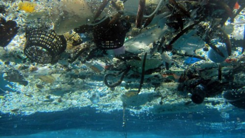 Plastica più abbondante dei pesci nel 2050: l’allarme degli scienziati