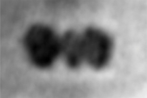 Proteine: realizzata la prima foto grazie al grafene