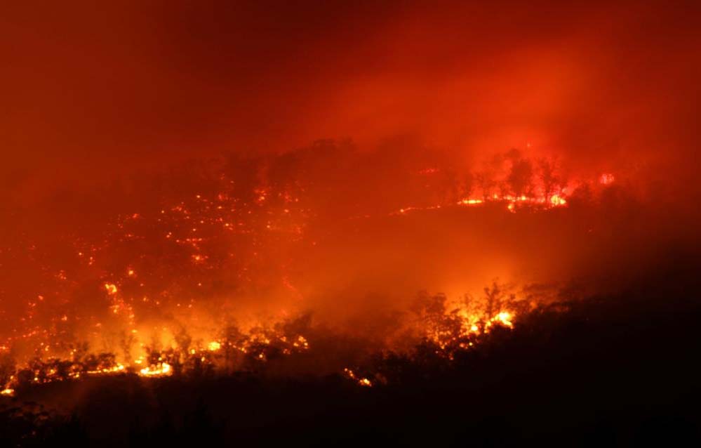Tasmania: incendi devastano migliaia di ettari di antichissime foreste