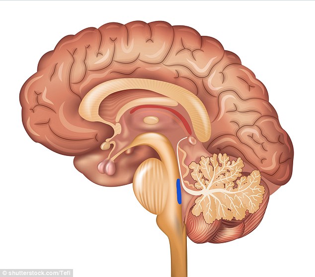 Alzheimer, individuato il punto esatto nel cervello dove ha inizio la malattia