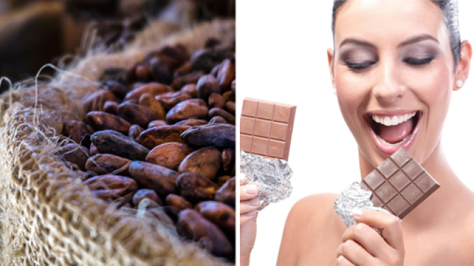 Cioccolato, a rischio la colvitazione del cacao a causa del clima