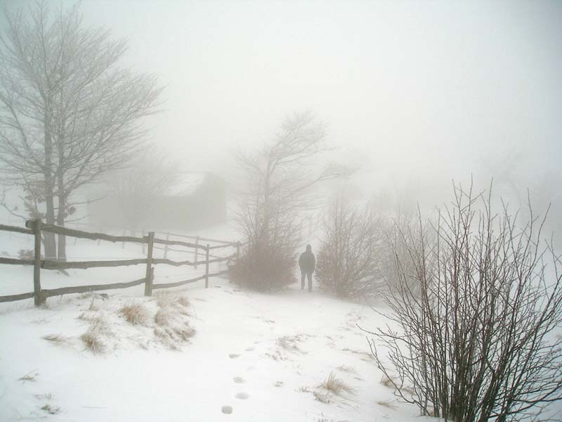 freddo-e-neve.jpg