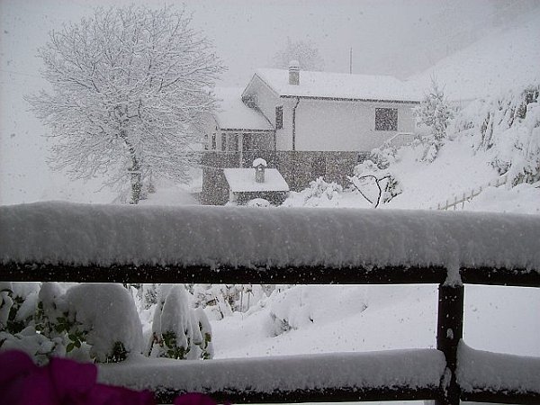 neve