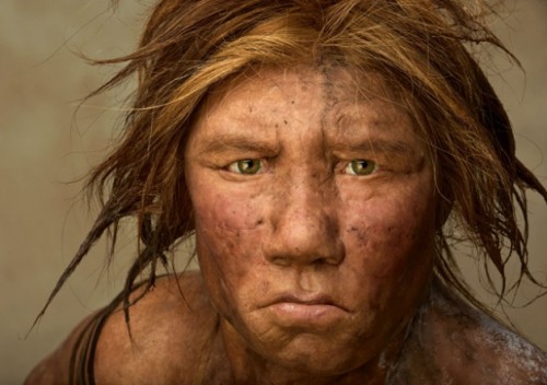 I Neanderthal si sono separati dagli esseri umani moderni solo 408.000 anni fa, lo dice un nuovo studio