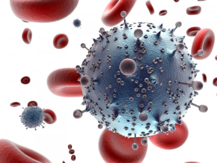 Cellule progenitrici la chiave per sconfiggere l’HIV?