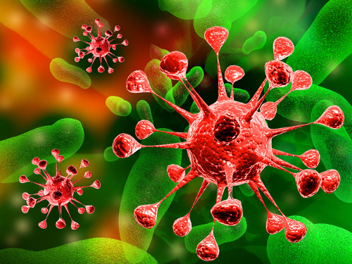 Salute, il virus dell’herpes accorcia la vita e accelera l’invecchiamento