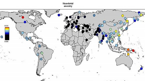 Neanderthal o Denisovans: una mappa del mondo rivela la nostra eredità genetica