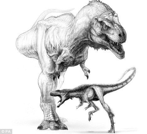 Dinosauri: scoperto il fratello più piccolo ed intelligente del T.Rex