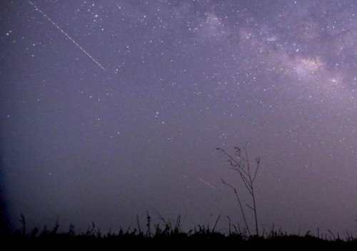 Sciame meteorico delle Liridi, grande spettacolo nei prossimi giorni