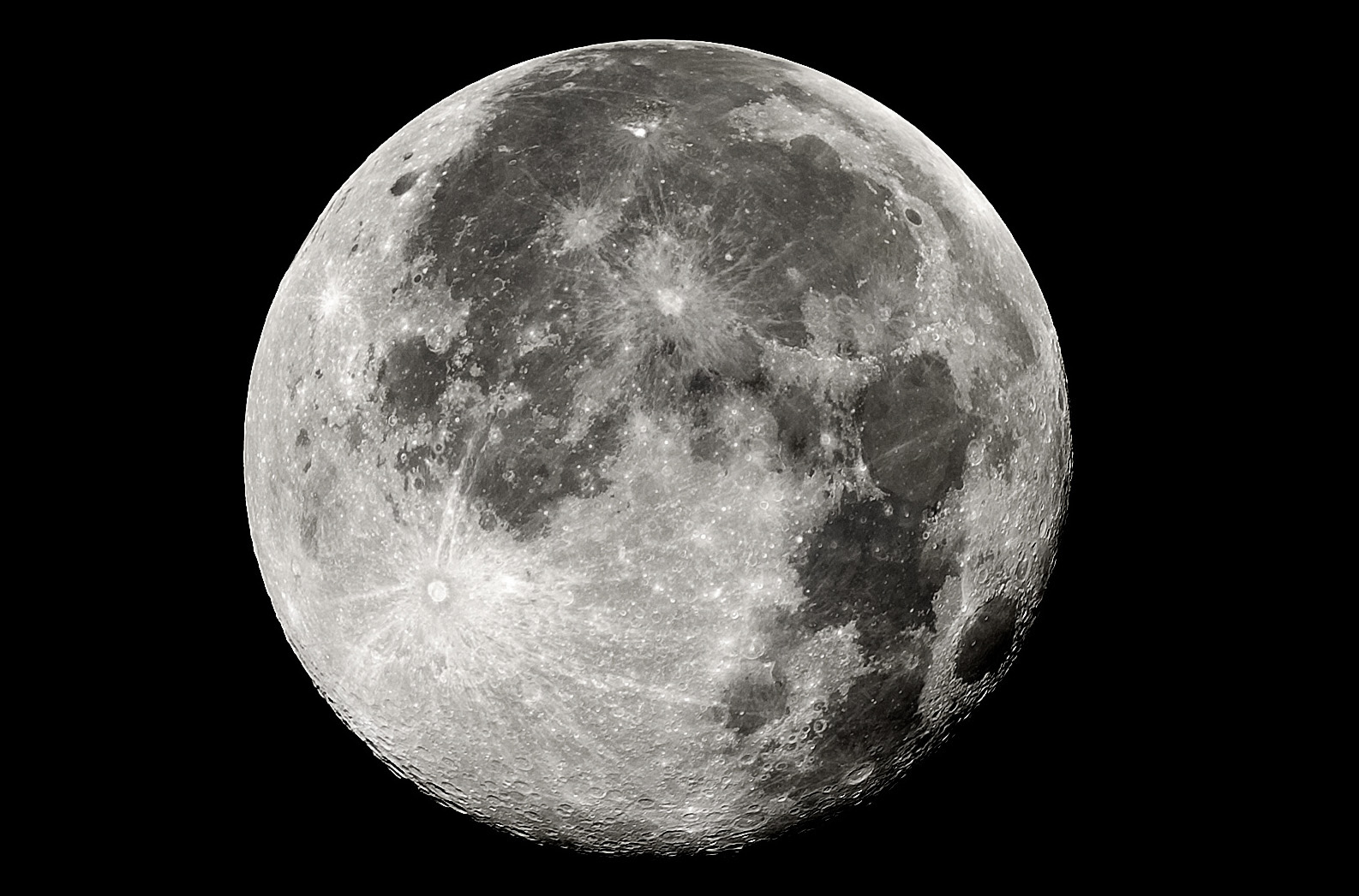 Luna-1.jpg