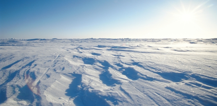 Polo Nord senza ghiaccio 10 milioni di anni fa; lo rivela un nuovo studio