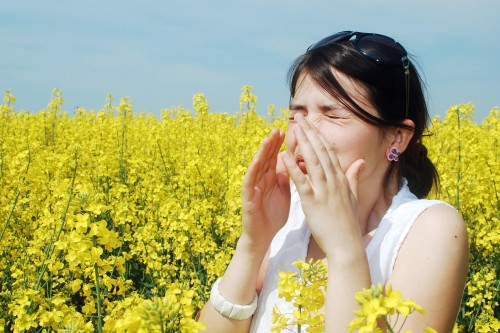 Salute: gli scienziati hanno scoperto un trattamento contro l’allergia