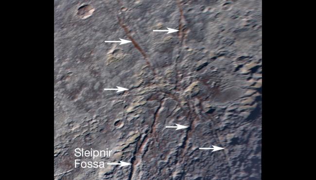 ragno-plutone-1.jpg