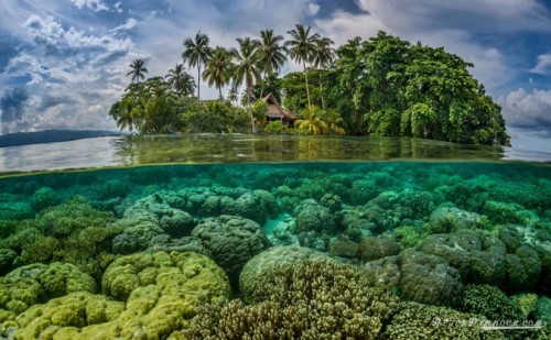 Cambiamenti climatici, scompaiono cinque isole nel Pacifico