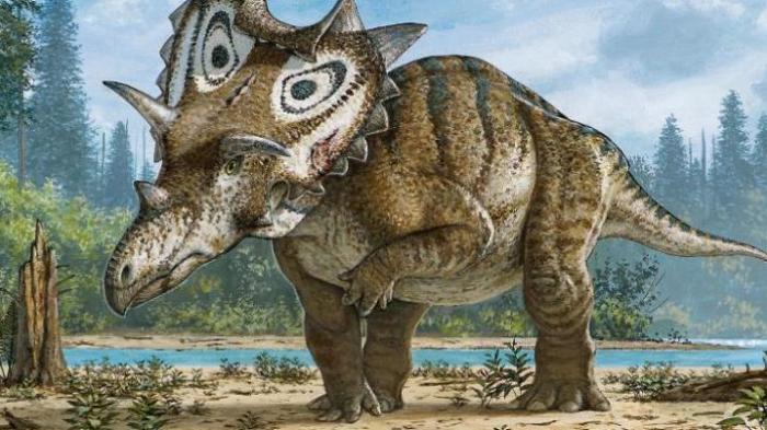 Paleontologia, scoperta nuova specie di dinosauro