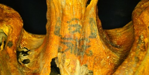 Tatuaggi di tremila anni fa, la scoperta su una mummia dell’Antico Egitto