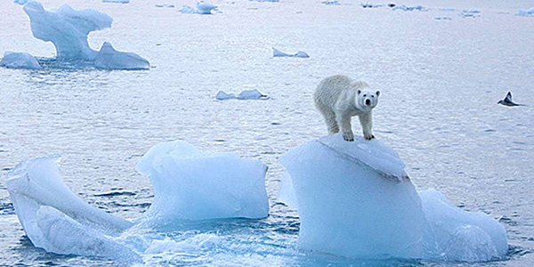 Scioglimento ghiacci: il Polo Nord potrebbe scomparire nel 2017