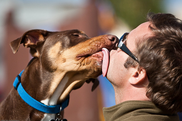 Salute: farsi leccare dal cane è pericoloso, l’allarme dei medici inglesi