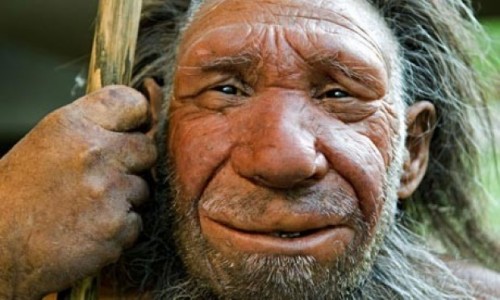 Neanderthal: il loro cervello possedeva meno neuroni rispetto al nostro, lo studio